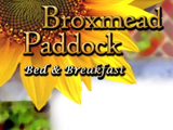 Web Design for Broxmead Paddock Bed and Breakfast